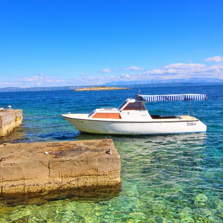 Apartments Sea Line Prigradica Dış mekan fotoğraf